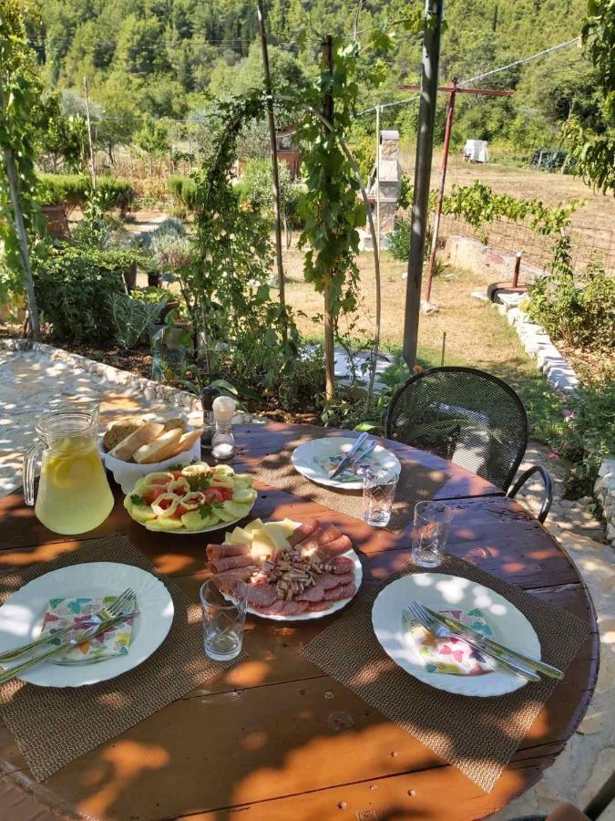 Apartman Rosa Lejlighed Skradin Eksteriør billede