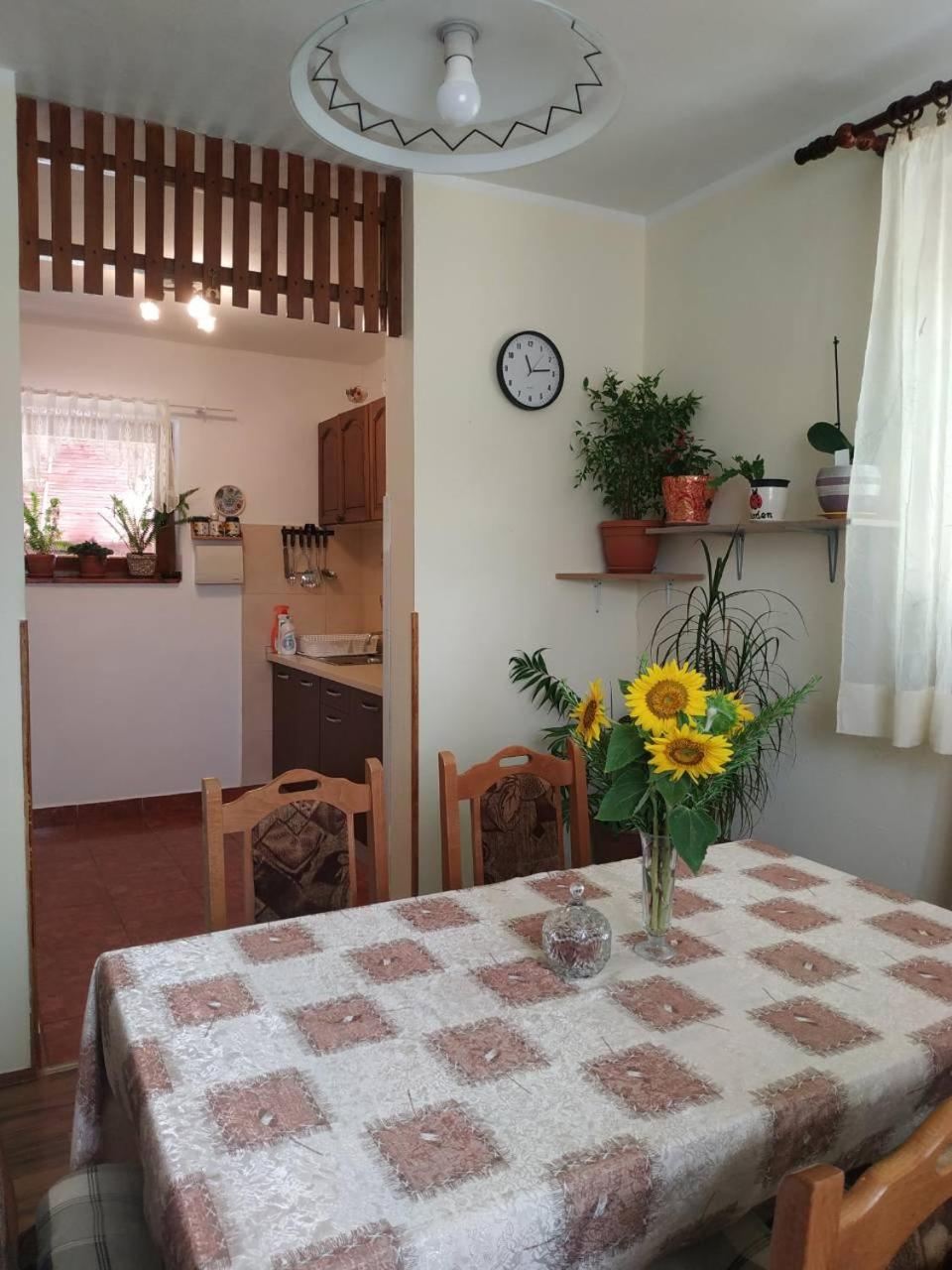 Apartman Rosa Lejlighed Skradin Eksteriør billede